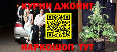индика Дубна