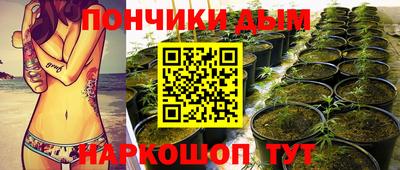 индика Дубна