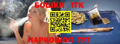 индика Дубна