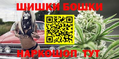 индика Дубна