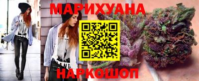 индика Дубна