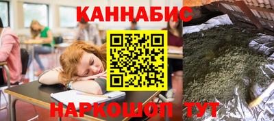 индика Дубна