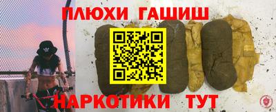 индика Дубна