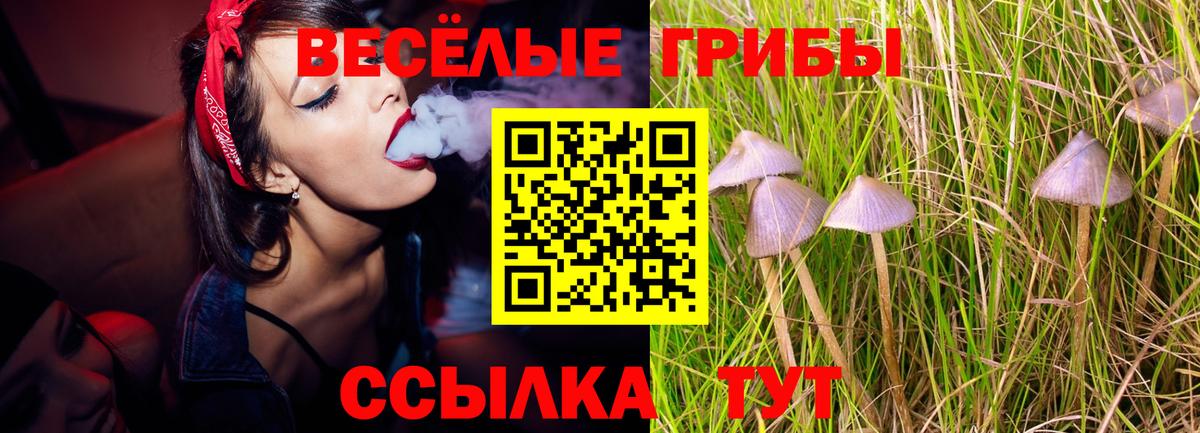 Люберцы  как найти   Вход с VPN  Галлюциногенные грибы ЛСД 