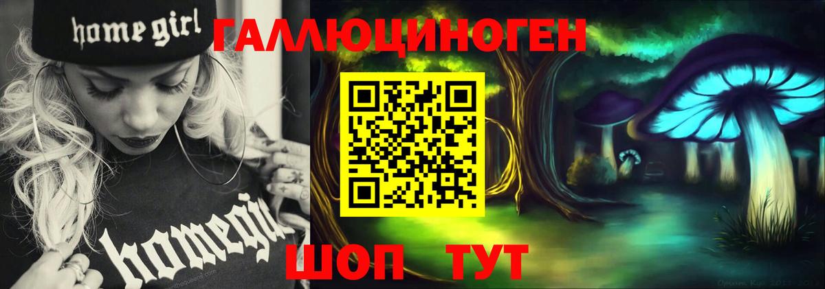 Псилоцибиновые грибы Psilocybine cubensis Люберцы